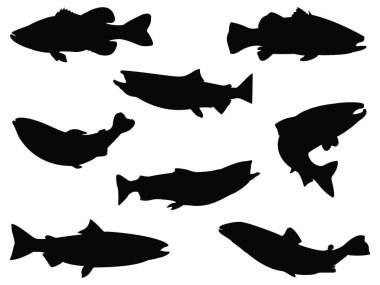 Somon balığı siluet vektör sanatı seti