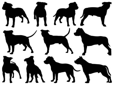 Staffordshire Boğa Teriyeri Köpek siluet sanatı seti