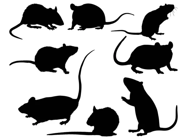 Set Arte Vettoriale Silhouette Rat — Vettoriale Stock