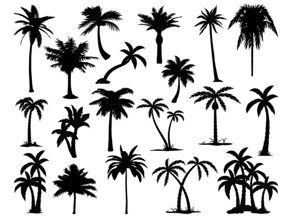 Ensemble Art Vectoriel Silhouette Palmiers — Image vectorielle