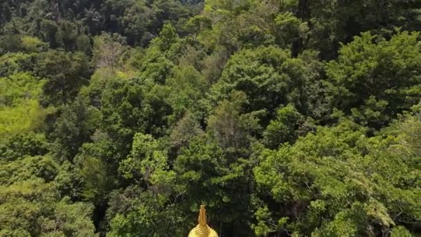 Aerial Footage Chinese Temple Nang Krabi — Stock Video