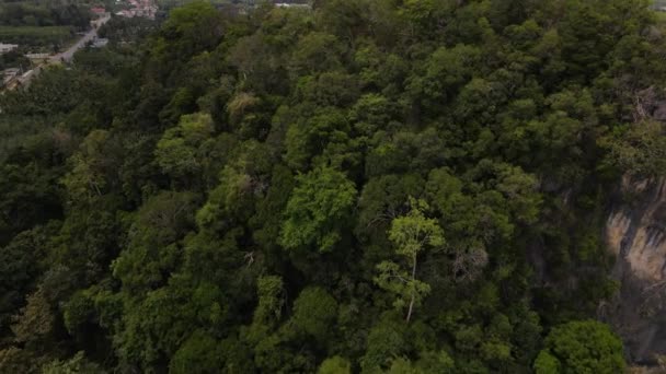 Manzara Kireçtaşı Dağları Nın Hava Görüntüleri Nang Krabi — Stok video