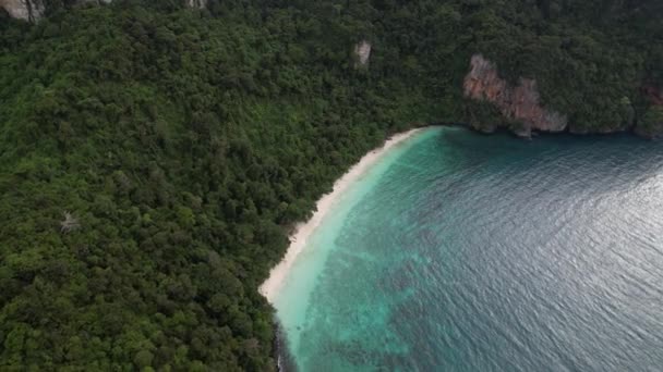 Aerial Footage Monkey Beach Koh Phi Don Krabi Thailand White — Stok Video