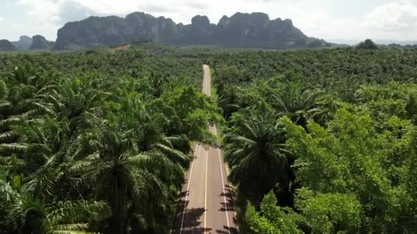 4K泰国Krabi的Ao Luek风景和风景路的空中无人机图像 摩托车 棕榈树种植园和石灰石山脉 — 图库视频影像