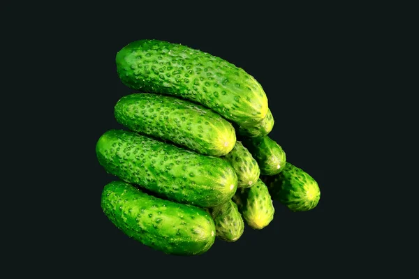 Groene Komkommers Een Zwarte Achtergrond — Stockfoto