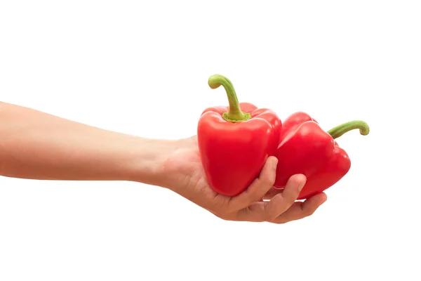 Αρσενικό Χέρι Κρατώντας Κόκκινη Πιπεριά Στο Χέρι Απομονώνονται Λευκό Φόντο — Φωτογραφία Αρχείου