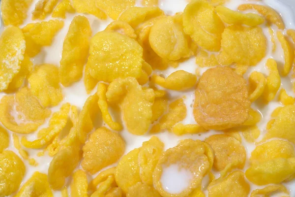 Closeup Flocos Milho Dourados Com Leite Contexto Dos Cereais — Fotografia de Stock