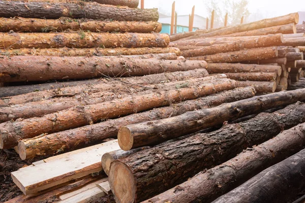 Hromada Borovicových Klád Pily Zpracování Zpracování Řezání Dřeva Pile Dřevozpracující — Stock fotografie