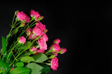 Siyah arka planda pembe güller, yakın plan. Yukarıdan görüntüle.