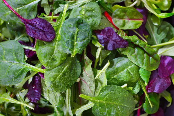 Fresh Raw Salad Close Various Herbal Background — Stock Photo, Image