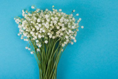 Pastel mavi arka planda, üzerinde beyaz bir zambak buketi, kopya alanı olan. Üst görünüm.