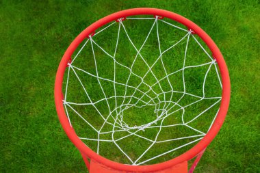 Kalın yeşil çimlerin arkasında kırmızı bir basketbol yüzüğü. Yukarıdan bir manzara