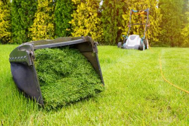 Güneşli bir günde çim biçme makinesinin arka planında çimen olan bir konteynır..