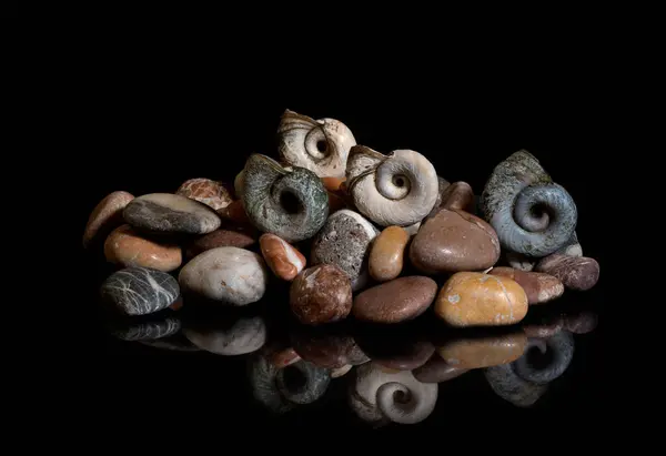 Морські Камені Мушлі Ізольовані Чорному Тлі Відображенні — стокове фото