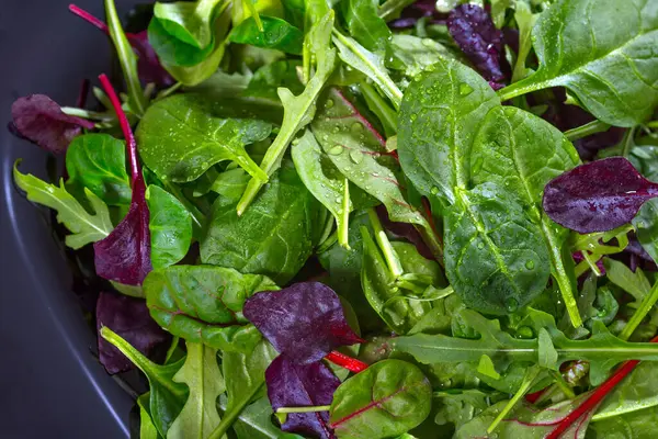 Świeże Zielone Liście Sałatki Zbliżenie Dieta Pojęcie Zdrowych Posiłków — Zdjęcie stockowe