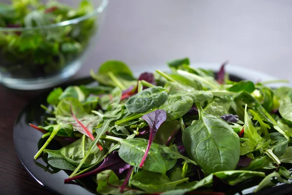Salad Hijau Segar Daun Close Sebuah Gagasan Makanan Sehat — Stok Foto