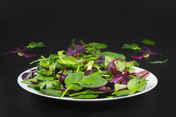 Salad Hijau Segar Daun Latar Belakang Hitam — Stok Foto