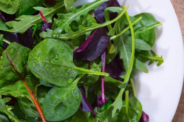 Tabakta karışık salata yaprakları, yakın plan. Yukarıdan bir manzara.