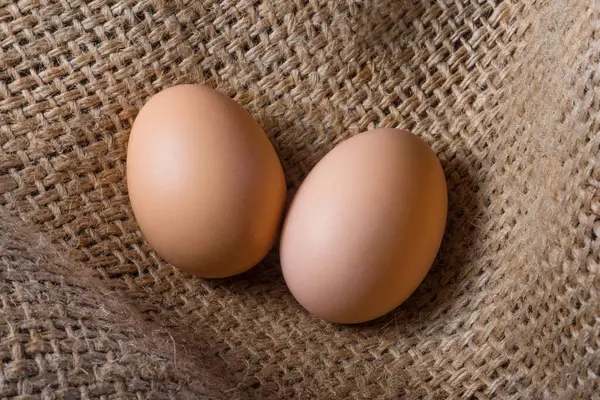 Dos Huevos Frescos Una Bolsa Una Granja Granja Avícola — Foto de Stock