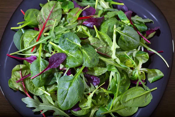 Salad Diet Hijau Segar Berbagai Latar Belakang Herbal — Stok Foto
