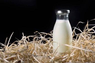 Siyah arka planda samanlıkta bir şişe taze süt. Sağlıklı yemek..