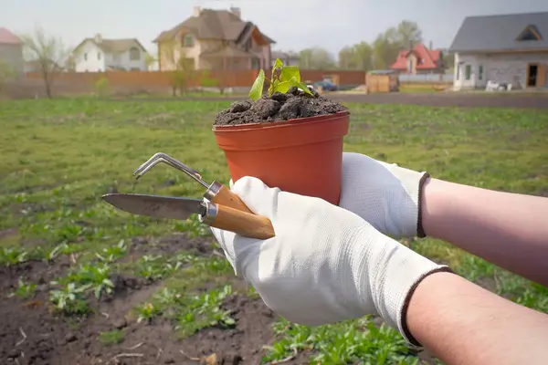 庭で働いている クローズアップで農民の手と庭のツール — ストック写真