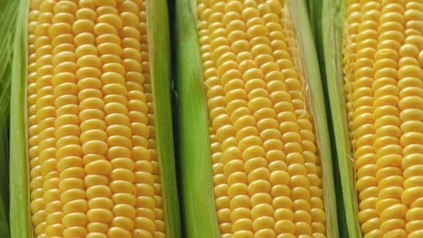 Близько Свіжої Солодкої Кукурудзи Коб Обертається Фон Солодких Кукурудзяних Ядер — стокове відео