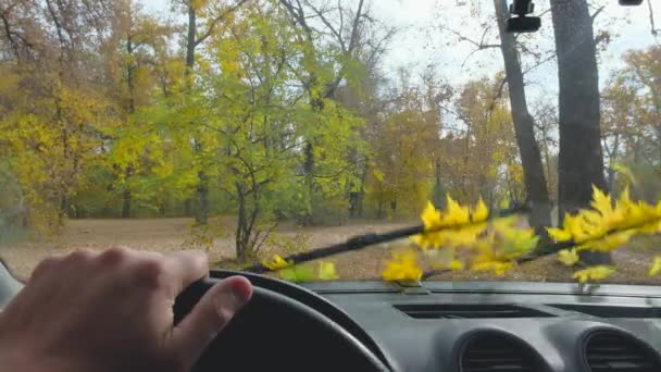 Parkta Park Etmiş Bir Arabanın Camındaki Cam Sileceklerinde Sonbahar Yaprakları — Stok video