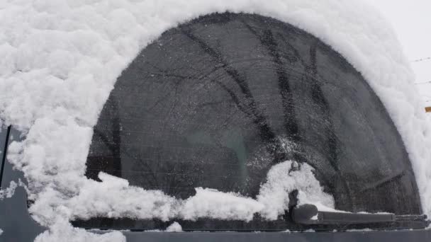 后擦把车后窗上的雪擦掉了 车用玻璃刷子擦白雪 — 图库视频影像