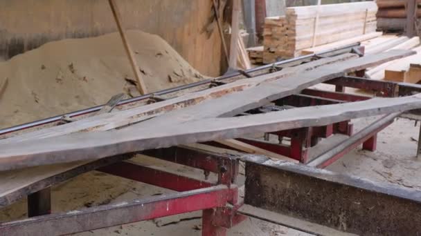 Werken Met Hout Planken Een Zagerij Industriële Houtfabriek Timmerwerk Industrie — Stockvideo