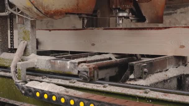 锯木在锯木厂 在锯木厂加工木材的过程 木材业 自动圆锯机 — 图库视频影像