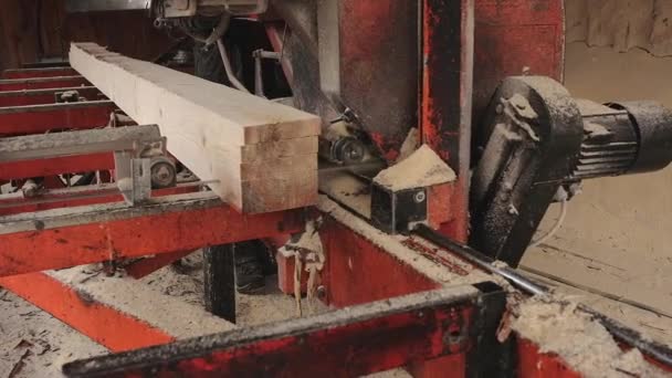 Kereste Fabrikasında Ahşap Işleme Süreci Tahta Kereste Ahşap Endüstrisi Yapıyor — Stok video