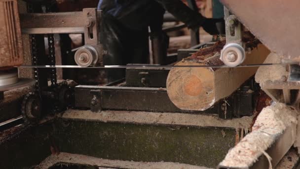 製材所で木材を加工 縫製する パワーマシンのウィングウッド 製材所での生産プロセス ログからのボードの産業セービング — ストック動画