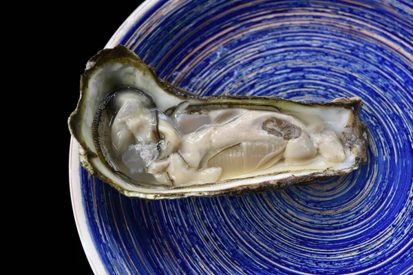 Opened oyster on a plate on black background. Top view.