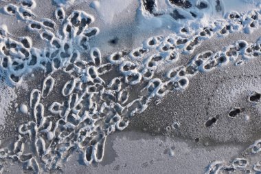 Karda izler, yukarıdan bir manzara. Beyaz karda insan izleri..