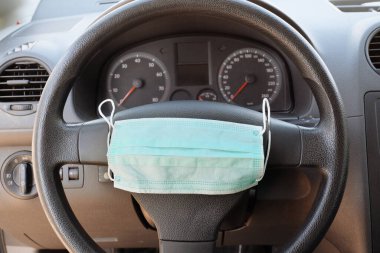 Bir Chow-Chow köpeği şehir parkında yürüyor. Yaşam biçimi.