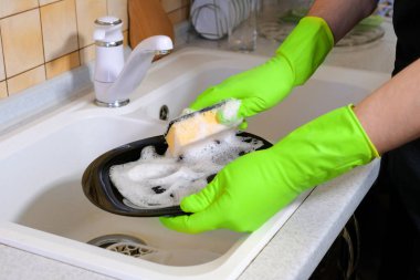 Bir Chow-Chow köpeği şehir parkında yürüyor. Yaşam biçimi.