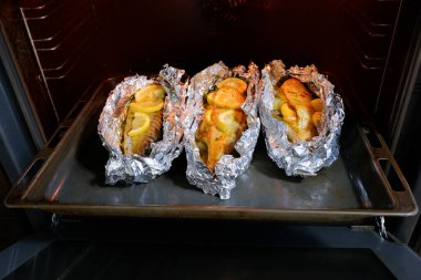 Bir Chow-Chow köpeği şehir parkında yürüyor. Yaşam biçimi.