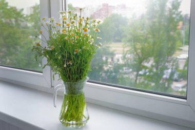 Pencere kenarındaki vazoda papatya çiçekleri..