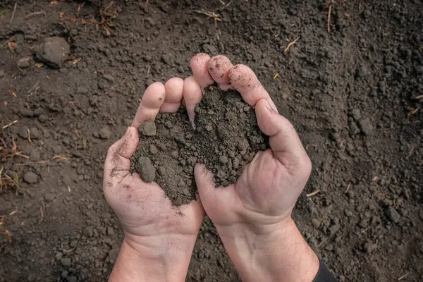 黒い土壌の背景にある地球と農場の手 上からの眺め ガーデニング — ストック写真