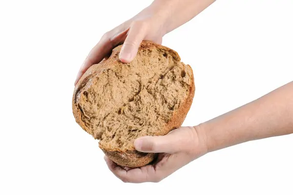 Свіжоспечений Зламаний Хліб Руках Пекаря Ізольовані Білому Тлі — стокове фото