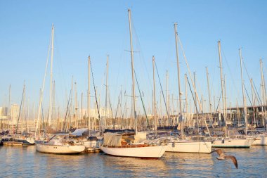 Yatlar limana demirlemişti. Güneşli bir günde yat parkında. Deniz Limanı.