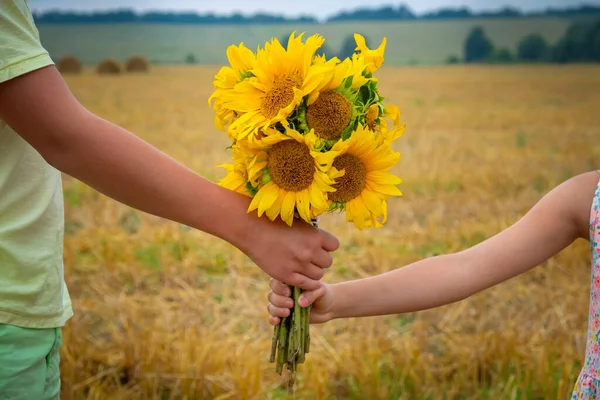 Beautiful bouquet of sunflowers in children\'s hands, against the background of the field. Close-up