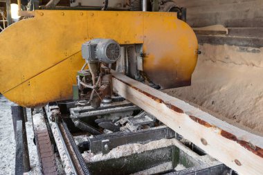 Bir bıçkıhanenin ekipmanlarını işleme süreci. Ahşap endüstrisi.