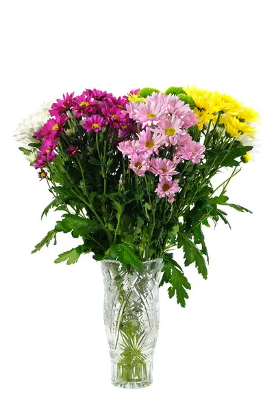 Bouquet of colorful carnations in a vase isolated on a white background. Spring flowers.