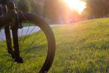 Gün batımında şehir parkında bisiklet ön tekerleği. Spor ve sağlıklı yaşam tarzı kavramı.