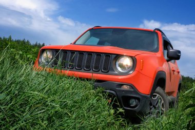 4x4 numaralı off-road aracı yeşil çimlere yakın çekim yapıyor. Vahşi doğada arabayla seyahat etmek..