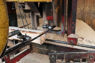 Bir kereste fabrikası ağaç gövdesini tahtalar halinde keser. Bir kereste fabrikasında ahşap tahtalar işleniyor..