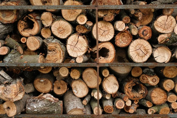 Stos Suchego Rąbanego Drewna Opał Pile Drewna Opałowego Ułożonego Stosy — Zdjęcie stockowe