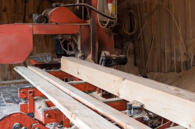 Bıçkıhanede çam ağaçlarının işleme tabi tutulması. Kereste endüstrisi.